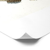 Turbot (Pleuronectes Maximus) bord XLIX uit 'Ich' Poster (Hoek)