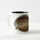Turbot (Pleuronectes Maximus) bord XLIX uit 'Ich' Tweekleurige Koffiemok (Voorkant links)
