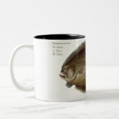 Turbot (Pleuronectes Maximus) bord XLIX uit 'Ich' Tweekleurige Koffiemok (Links)