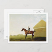 Turf, c.1765 (olie op canvas) (zie 152743) briefkaart (Voorkant / Achterkant)