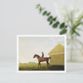 Turf, c.1765 (olie op canvas) (zie 152743) briefkaart (Staand voorkant)