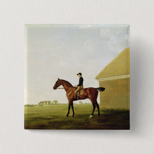Turf, c.1765 (olie op canvas) (zie 152743) vierkante button 5,1 cm