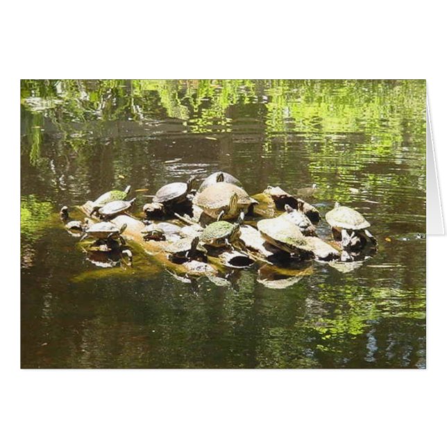 turfnetwerken (Voorkant Horizontaal)