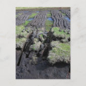 Turfwinning in Ierland Briefkaart (Voorkant)