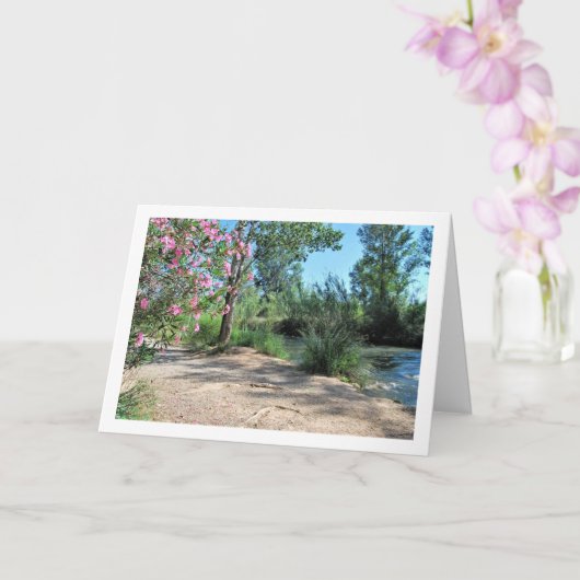 Turia rivier, Vilamarxant, Valencia, Spanje, Spaan Kaart (Orchidee)