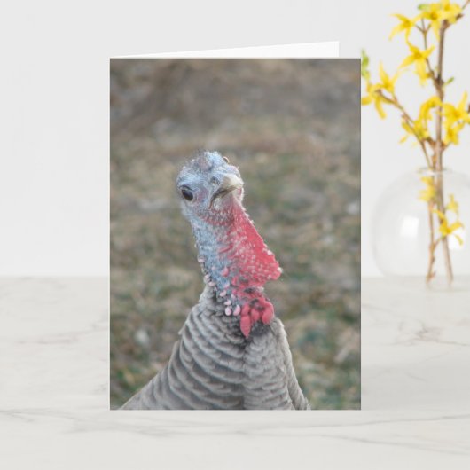 Turk, Turk, de kalkoenkip Kaart (Gele Bloem)