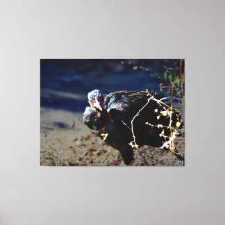Turken Portret Canvas Afdruk