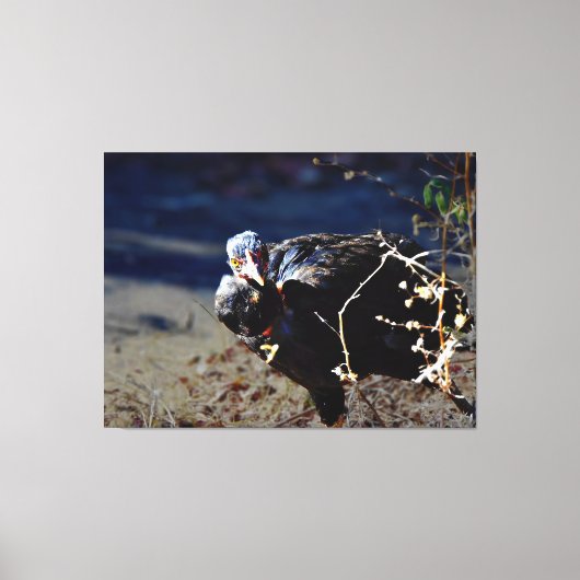 Turken Portret Canvas Afdruk (Voorkant)