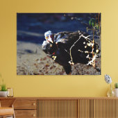 Turken Portret Canvas Afdruk (Insitu (Woonkamer))