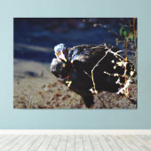 Turken Portret Canvas Afdruk (Insitu (Houten vloer))