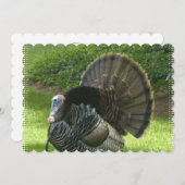 turkey-1.jpg kaart (Voorkant / Achterkant)