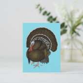Turkey Bronze Tom Briefkaart (Staand voorkant)