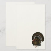 Turkey Bronze Tom Briefpapier (Voorkant / Achterkant)