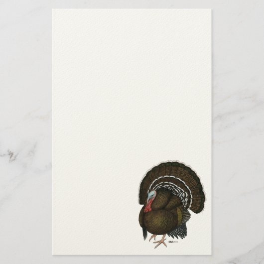 Turkey Bronze Tom Briefpapier (Voorkant)