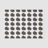 Turkey Bronze Tom Tissuepapier (Voorkant)