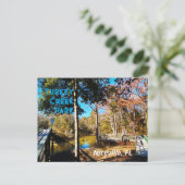 Turkey Creek Niceville Florida Briefkaart (Staand voorkant)