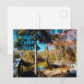 Turkey Creek Niceville Florida Briefkaart (Voorkant / Achterkant)