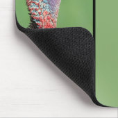 Turkey - Customizable full year 2026 calendar Muismat (Hoek)