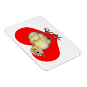 Turkey Poult Heart Magneet (Rechterzijde)
