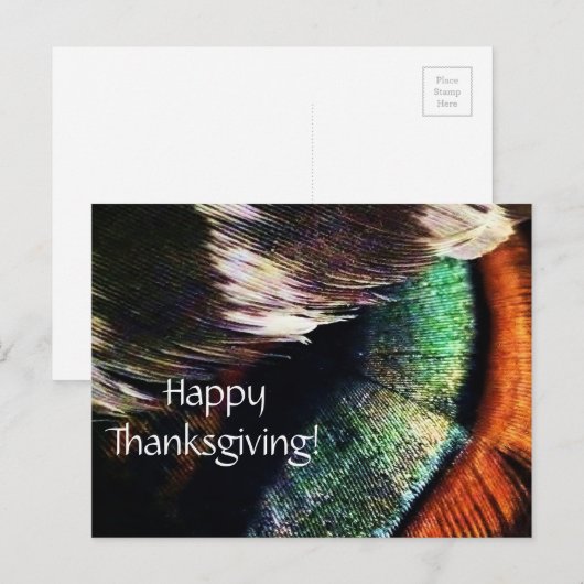 Turkey Tail Feathers Art Foto Happy Thanksgiving Feestdagenkaart (Voorkant / Achterkant)