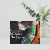 Turkey Tail Feathers Art Foto Happy Thanksgiving Feestdagenkaart (Staand voorkant)
