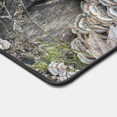 "Turkey Tail Mushrooms" Bureaumat (Hoek)