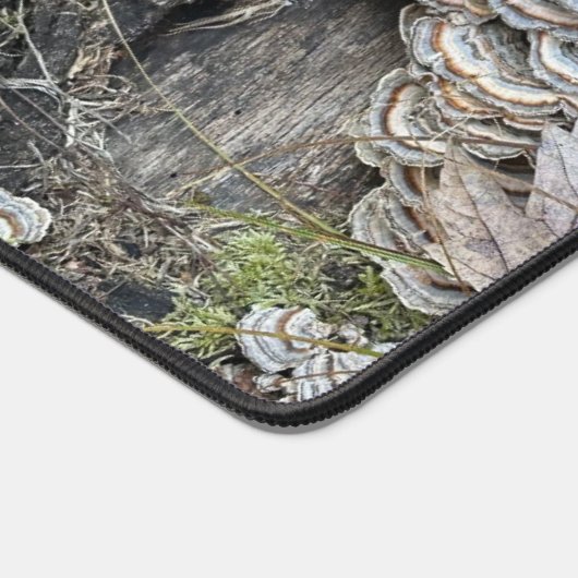 "Turkey Tail Mushrooms" Bureaumat (Hoek)