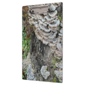 "Turkey Tail Mushrooms" Klembord (Links)