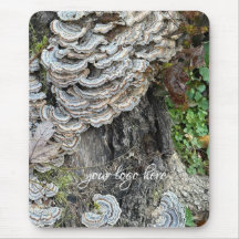"Turkey Tail Mushrooms"