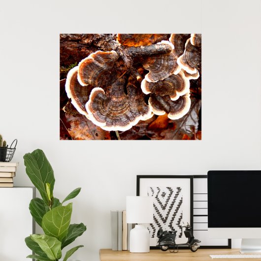 Turkey Tails Fungi Poster (Thuiskantoor)