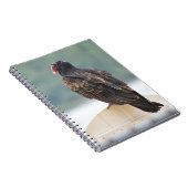 Turkey Vulture Notebook Notitieboek (Rechterzijde)
