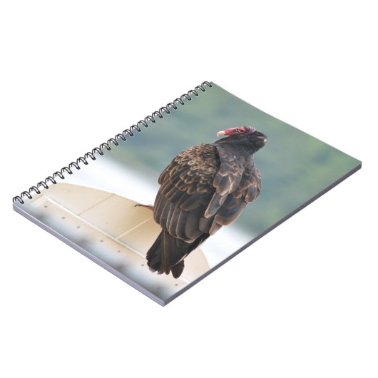 Turkey Vulture Notebook Notitieboek (Linkerzijde)