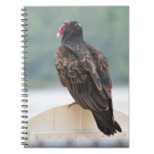 Turkey Vulture Notebook Notitieboek (Voorkant)