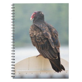Turkey Vulture Notebook Notitieboek