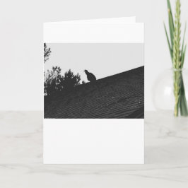 Turkey Vulture Silhouette, kaart