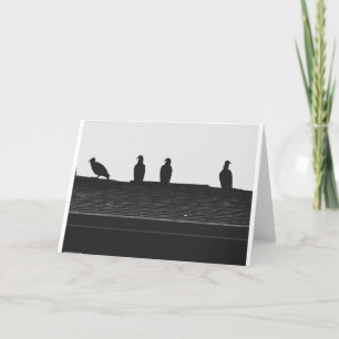 Turkey Vulture Silhouette, kaart