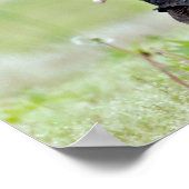 Turkey Vultures Poster (Hoek)