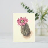 Turkeyhead Cactus Botanische Illustratie Briefkaart (Staand voorkant)