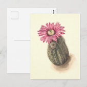 Turkeyhead Cactus Botanische Illustratie Briefkaart (Voorkant / Achterkant)