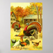 Turkeys and chickens art poster (Voorkant)