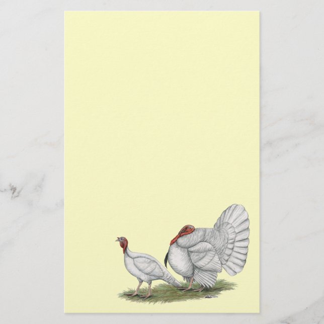 Turkeys White Holland (Voorkant)