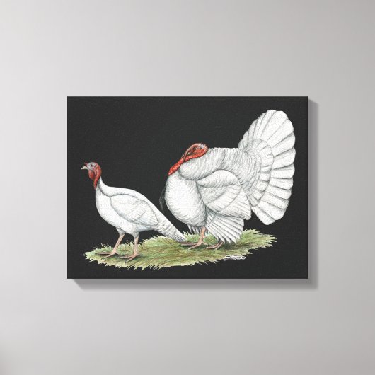 Turkeys White Holland Canvas Afdruk (Voorkant)