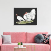 Turkeys White Holland Canvas Afdruk (Insitu (Woonkamer))