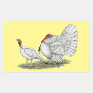 Turkeys White Holland Rechthoekige Sticker