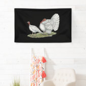 Turkeys White Holland Spandoek (Insitu)