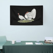 Turkeys White Holland Spandoek (Beurs)