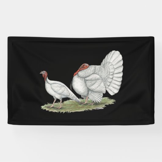 Turkeys White Holland Spandoek (Horizontaal)