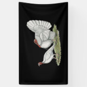 Turkeys White Holland Spandoek (Verticaal)