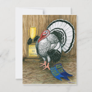 Turkije: beste in Show