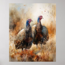 Turkije Boerderij Animal Art Print Poster